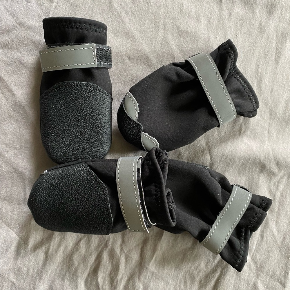 Dog shoes